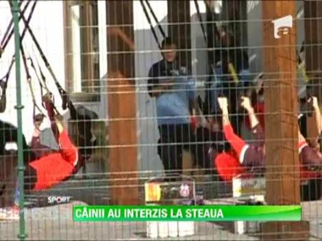 Stelistii le-au interzis dinamovistilor chiar si in Spania!