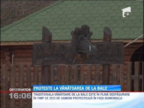 Vanatoare cu protest la Balc: Militantii pentru drepturile animalelor cer oprirea vanatorii