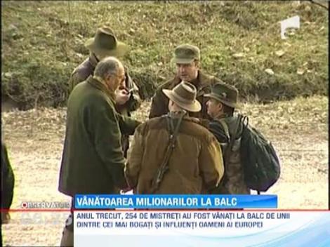 Milionarii care vaneaza mistreti la Balc, vanati cu mingi de tenis de catre membrii unor organizatii ecologiste