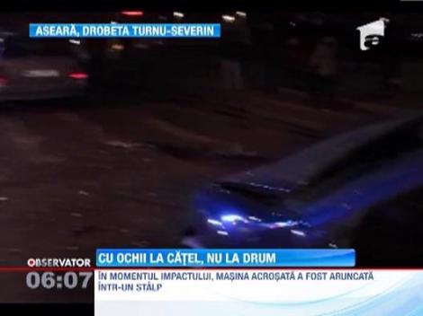 Accident grav intr-o intersectie din Drobeta Turnu-Severin! O soferita este acuzata ca a trecut pe rosu pentru ca isi alinta catelul in timp ce conducea