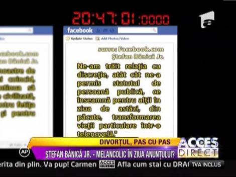 Istoricul mesajelor postate pe Faceebok de Stefan Banica Junior