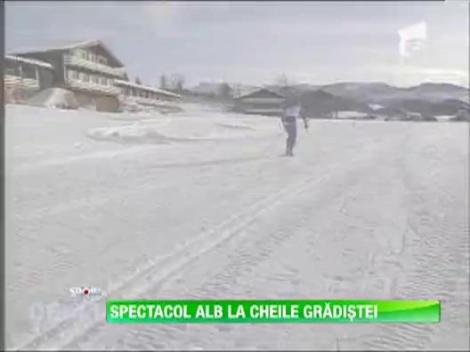 Bataie mare pentru Cupa Cheile Gradistei la schi fond
