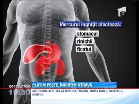 Peste 80% din cantitatea de peste din lume este contaminata cu mercur!