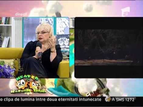 Irina Margareta Nistor, cooptata in echipa de la "Neatza cu Razvan si Dani"