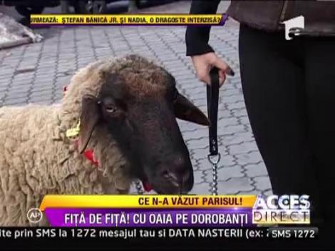 Manechinul Denisa Bita, cu oaia pe Dorobanti!