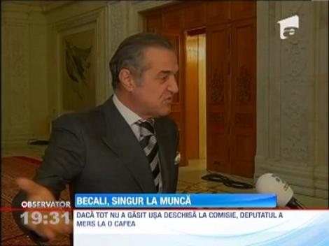 Singur la munca: Gigi Becali a venit la Parlament, dar sala de sedinta era inchisa