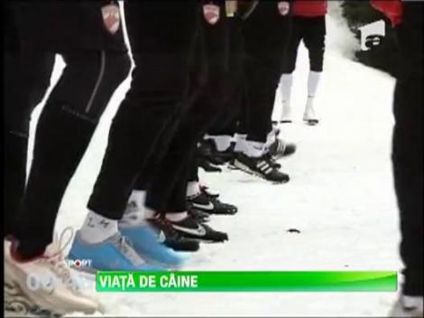 Florentin Petre si-a luat in serios rolul de antrenor la Dinamo