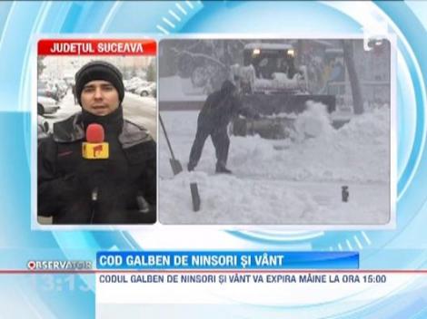 Cod galben de ninsori si vant, in judetele din nordul, estul si centrul tarii