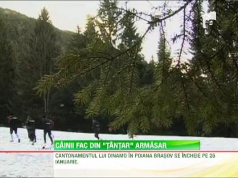 Dinamovistii numara zilele pana cand vor pleca din Poiana Brasov