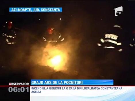 Joaca strica treaba: Un grajd din Agigea a fost mistuit de un incendiu pornit de la niste pocnitori