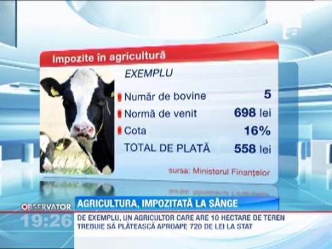 Toti agricultorii vor plati impozit la norma de venit