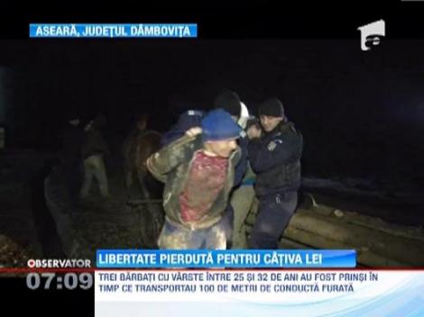 S-au chinuit trei zile sa fure o conducta, dar jandarmii i-au fortat sa o inapoieze