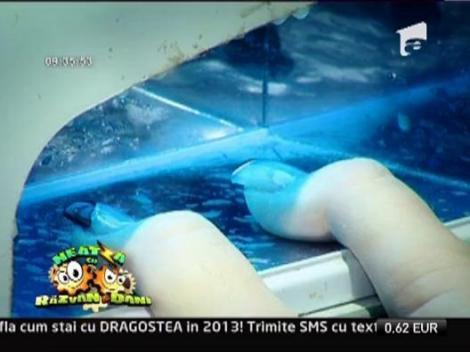 Avantajele si dezavantajele unghiilor false