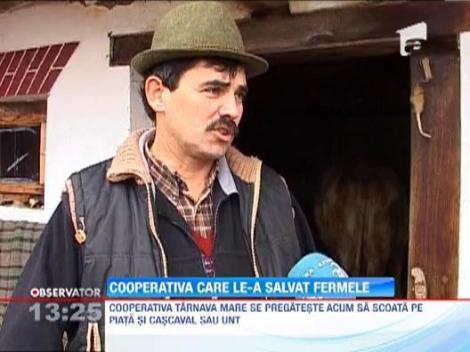 500 de fermieri mici au pus bazele unei cooperative la Tarnava Mare