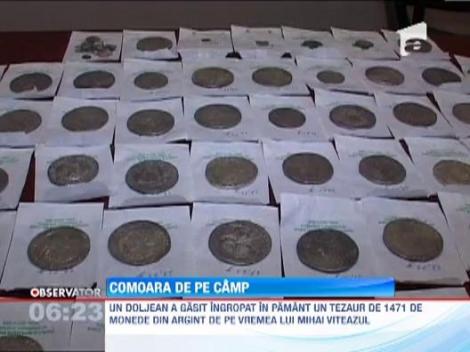 Aproape 1500 de monede de argint, descoperite pe un camp din Dolj