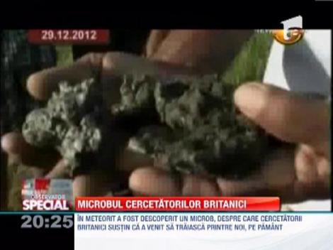 Cercetatorii britanici au descoperit microbul extraterestru