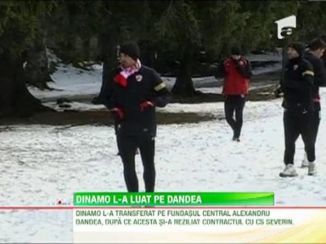 Jucatorul lui CS Severin, Alexandru Dandea, transferat la Dinamo