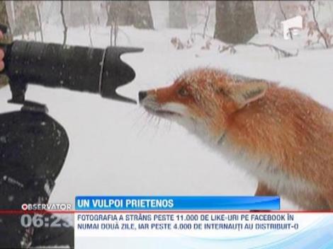 Imaginea care a strans 11.000 de like-uri pe Facebook, in doua zile