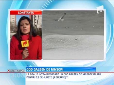 Codul galben de ploi, ninsori si viscol