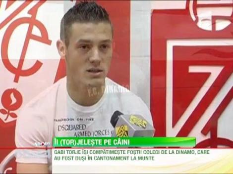 Torje deplange situatia dinamovistilor: "E moartea caprioarei!"