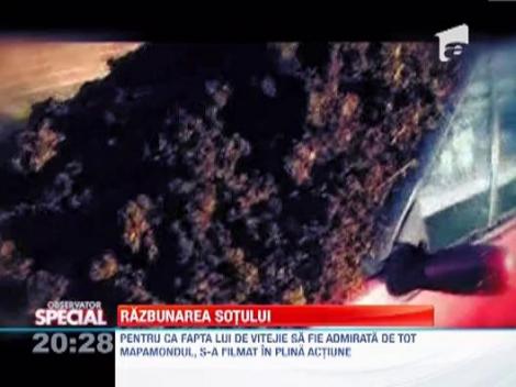 Observator Special: Un sot plin de imaginatie a gasit metoda ideala pentru a se razbuna pe sotie!