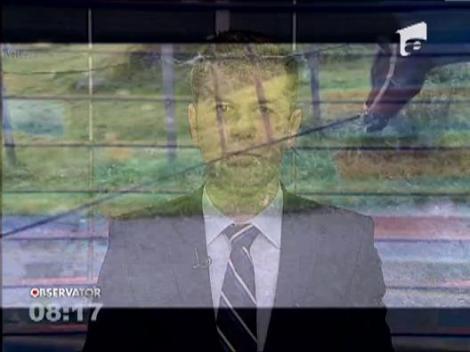 VIDEO: "Nu mor caii cand vor cainii" sau "Nu pasc caii cand vor cainii"? Imaginile vorbesc de la sine!