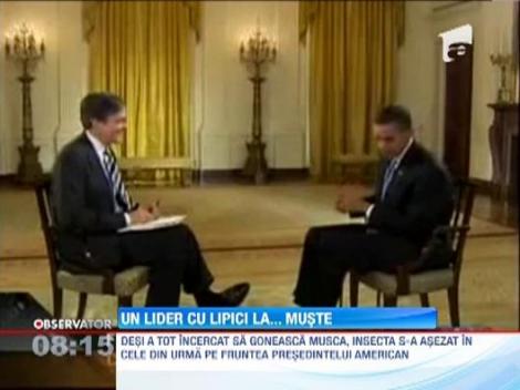 Barack Obama, deranjat din nou de o musca in timpul unui discurs