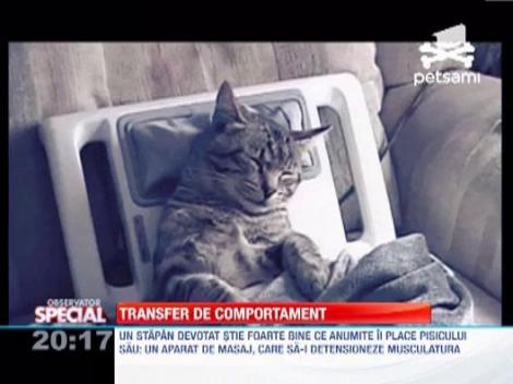 Transfer de comportament