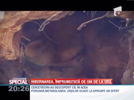 OBSERVATOR SPECIAL: Oare poate omul sa hiberneze? Ce cred cercetatorii spanioli...