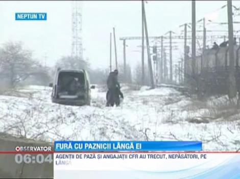 Vagoanele de marfa stationate, jefuite de fata cu paznicii CFR