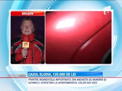 Costul cheltuielilor in cazul Elodia Ghinescu: 125.000 de lei