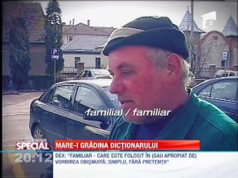 Mare-i gradina dictionarului