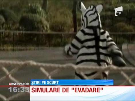 Simulare de evadare la o gradina zoologica din Tokyo