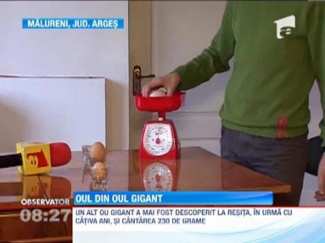 Descoperire inedita in judetul Arges: Un ou, intr-un alt ou!