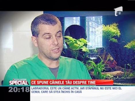 Ce spune cainele tau despre tine