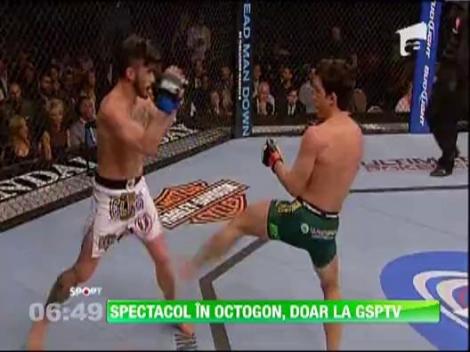 Spectacol in Octogon