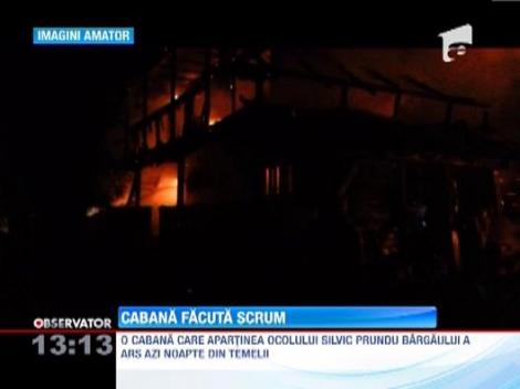 Bistrita Nasaud: Un incendiu a mistuit o cabana din Muntii Calimani