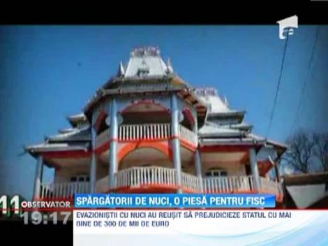 Evazionistii cu nuci au prejudiciat statul cu peste 300 de mii de euro