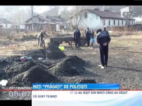Politistii le-au dat o lovitura grea hotilor de carbuni! Au ridicat peste 60 de tone din curtile acestora
