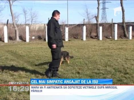 Cel mai simpatic patruped angajat de la ISU