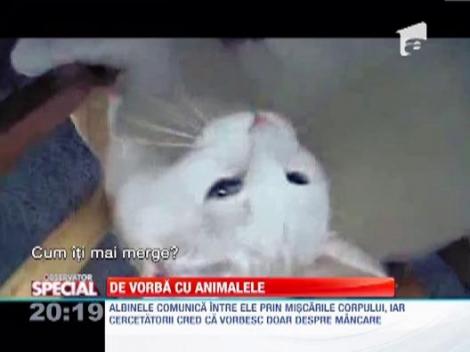 Animalele vorbitoare