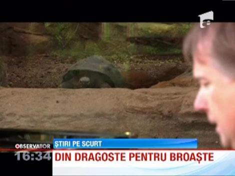 Richard Clayderman, concert inedit pentru broastele testoase de la ZOO