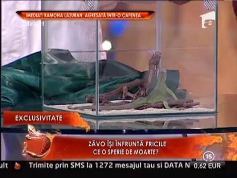 Oana Zavoranu isi infrunta fricile