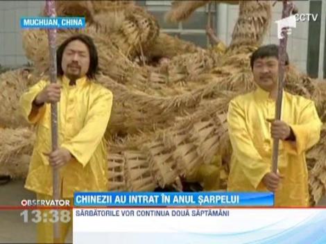Milioane de chinezi au sarbatorit intrarea in Anul Sarpelui