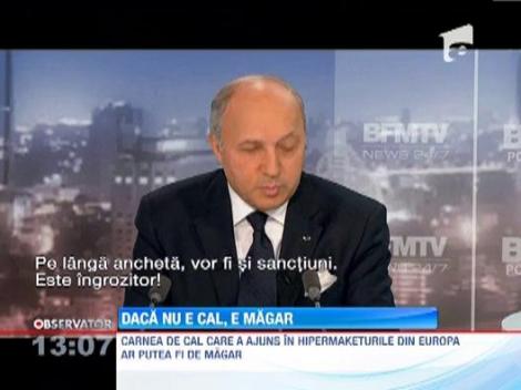 The Independent: Carnea de cal gasita in supermarketurile britanice "ar putea fi de magar"