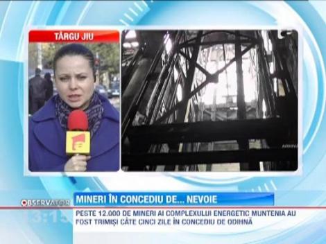 Nu mai sunt bani de salarii: 12.000 de mineri trimisi, fortat, in concediu de odihna. In plus, conducerea companiei vrea sa scurteze saptamana de lucru de la cinci la patru zile