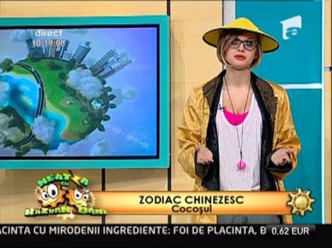 Zodiacul chinezesc, cu Anca Martin: Ce te asteapta in anul 2013