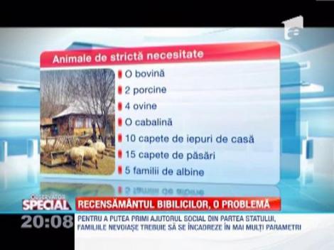 Observator Special: Normele dupa care se acorda ajutorul social ii saracesc si mai rau pe beneficiari