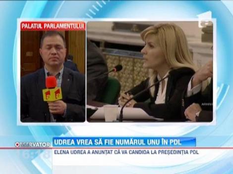 Elena Udrea candideaza la sefia Partidului Democrat Liberal