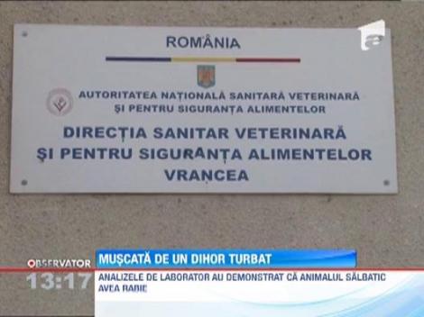 Carantina de gradul TREI in cateva gospodarii din Vrancea si Covasna